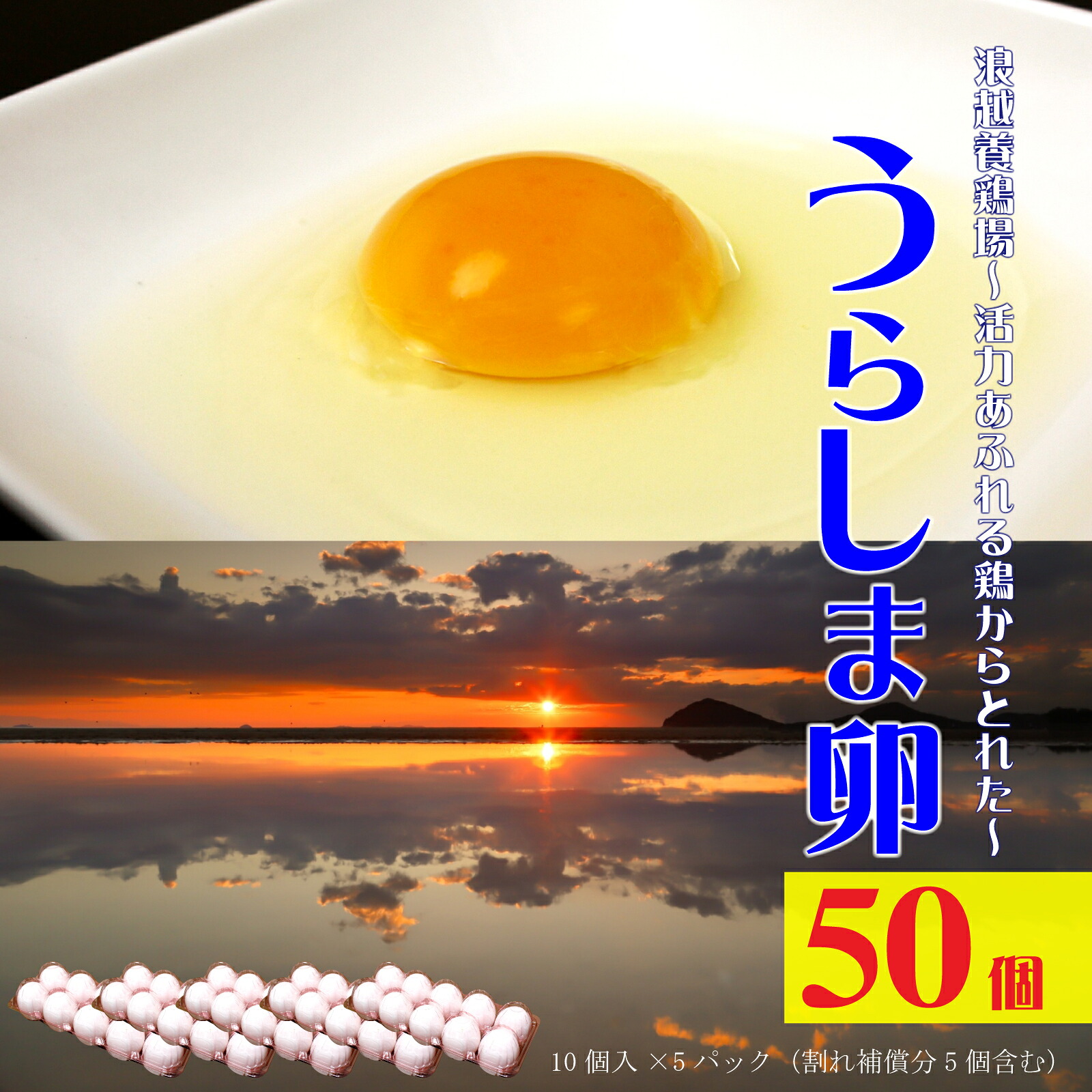 【ふるさと納税】 卵 新鮮【うらしま卵】～竜宮からの贈りもの～たまご50個（45個＋割れ補償5個） [ うらしま卵 たまご 国産 鶏卵 浦島 産地直送 50個セット 割れ補償 高級 新鮮卵 産地直送 高級卵 栄養満点 黄身濃厚 卵料理 10000 10,000円 台 ギフト館ふじむら ]