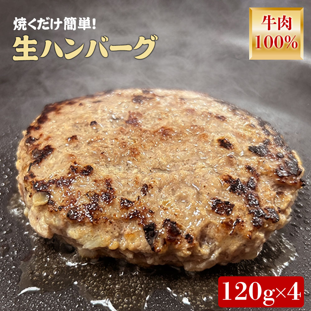 【ふるさと納税】 オリーブ牛 100％ハンバーグ120g&times;4 食べ応え十分！解凍して焼くだけ ハンバーグ [ ブランド牛 国産牛 牛肉 肉 和牛 オリーブ オレイン酸 料理 自炊 時短 グルメ お取り寄せ グルメ おすすめ 香川県 三豊市 10,000円 台 返礼品 送料無料 ササハラ ]｜香川県三豊市