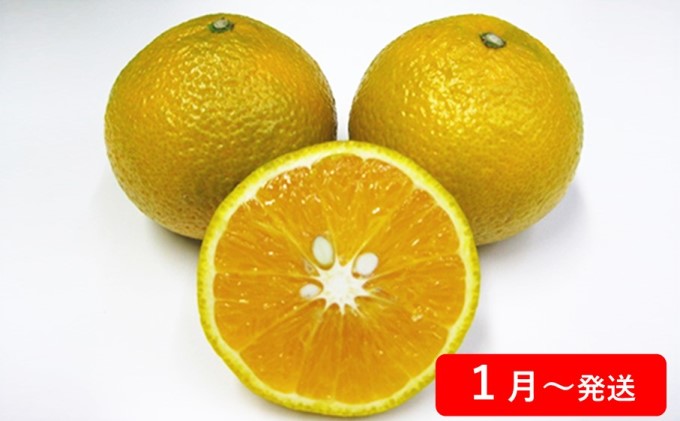 お届け 年12月 香川県土庄町 定期便 果物 詰合せ セット フルーツ 果物類 いちご 苺 イチゴ 果物詰合せ フルーツ 果物 ふるさと納税 香川県土庄町 土庄町 8回お届け 季節の果物 お届け 年12月 香川県土庄町 定期便 果物 詰合せ セット フルーツ 果物類 いちご 苺 イチゴ 果物詰合せ フルーツ 果物 ふるさと納税 香川県土庄町 土庄町 8回お届け 季節の果物
