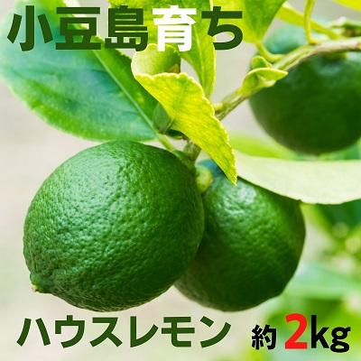 【ふるさと納税】【 小豆島 】小豆島ハウスレモン 約2kg 果物類 フルーツ 柑橘類 檸檬 　お届け：2026年9月下旬～12月上旬頃　準備が出来次第順次発送｜香川県土庄町