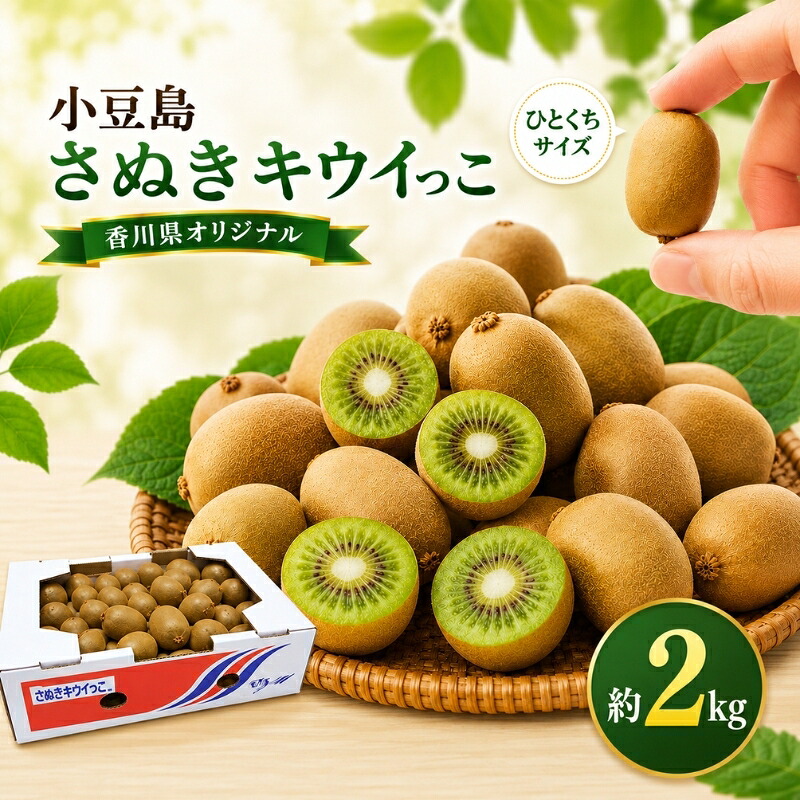 【ふるさと納税】小豆島さぬきキウイっこ 約2kg 果物 旬 果物類 フルーツ 果物詰合せ 　お届け：2026年11月上旬～12月下旬