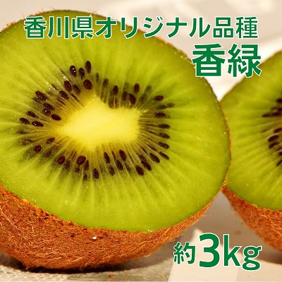 【ふるさと納税】香川オリジナルキウイフルーツ「香緑（こうりょく）」約3kg 果物類 果物詰合せ 　お届け：2026年11月下旬～2027年1月下旬｜香川県土庄町