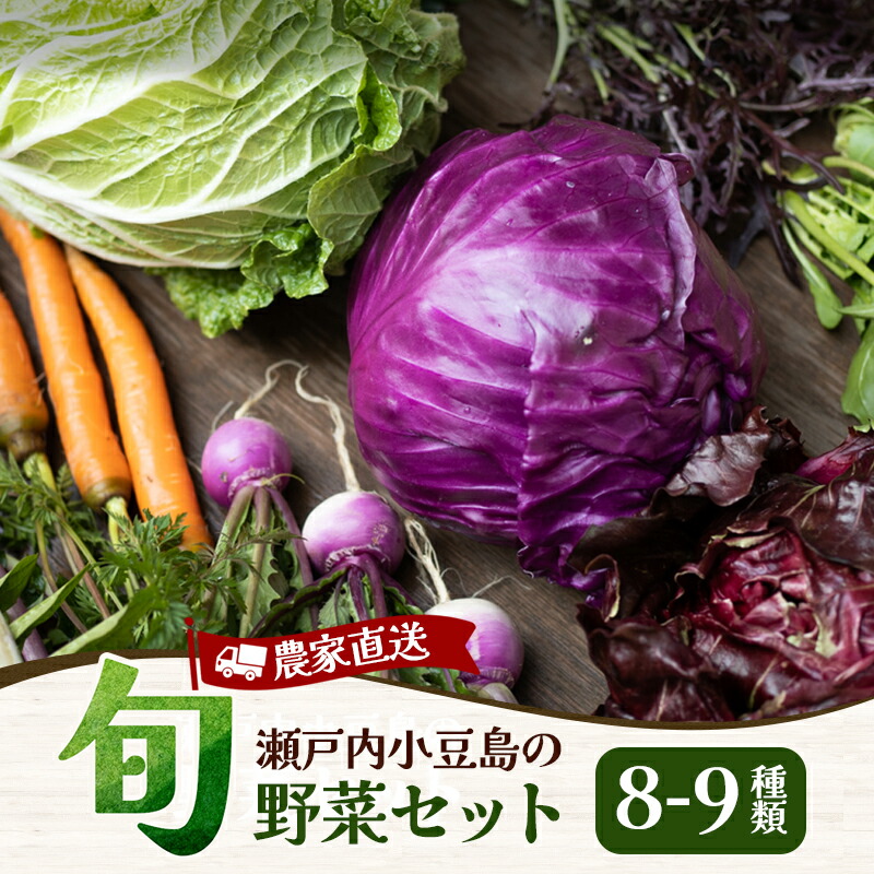 【ふるさと納税】【 小豆島 】瀬戸内小豆島そだちの旬野菜セット 農家直送 詰合せ