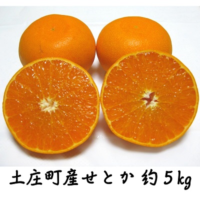 【ふるさと納税】【 小豆島 】小豆島せとか 約5kg 柑橘 果物 せとか フルーツ ジューシー フレッシュ くだもの 国産 香川 香川県 土庄 土庄町　お届け：2026年2月上旬～3月中旬　準備が出来次第順次発送｜香川県土庄町