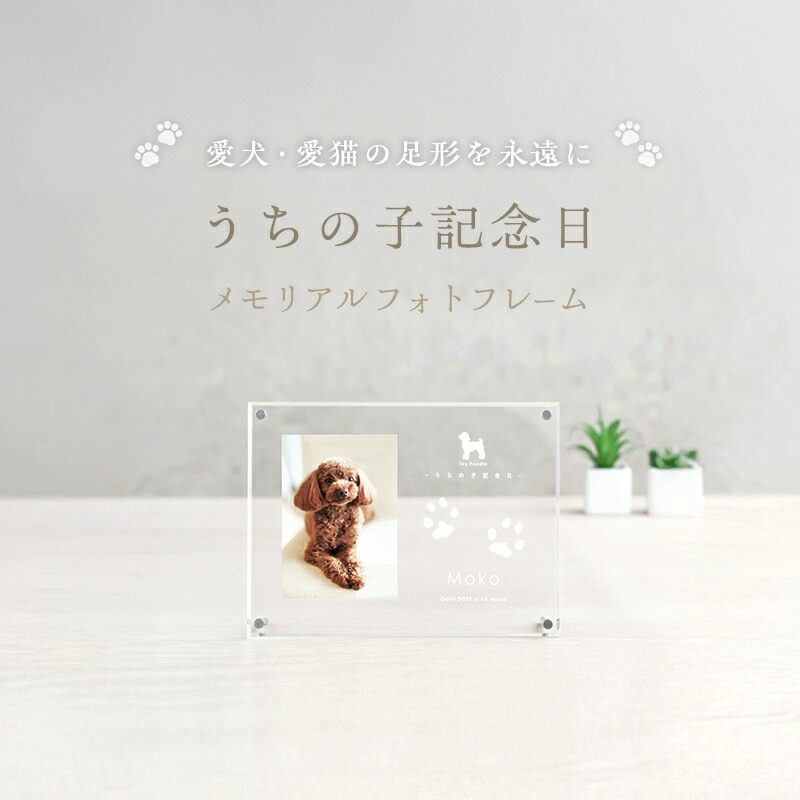 土庄町のごま油・オリーブ油絵の具特集