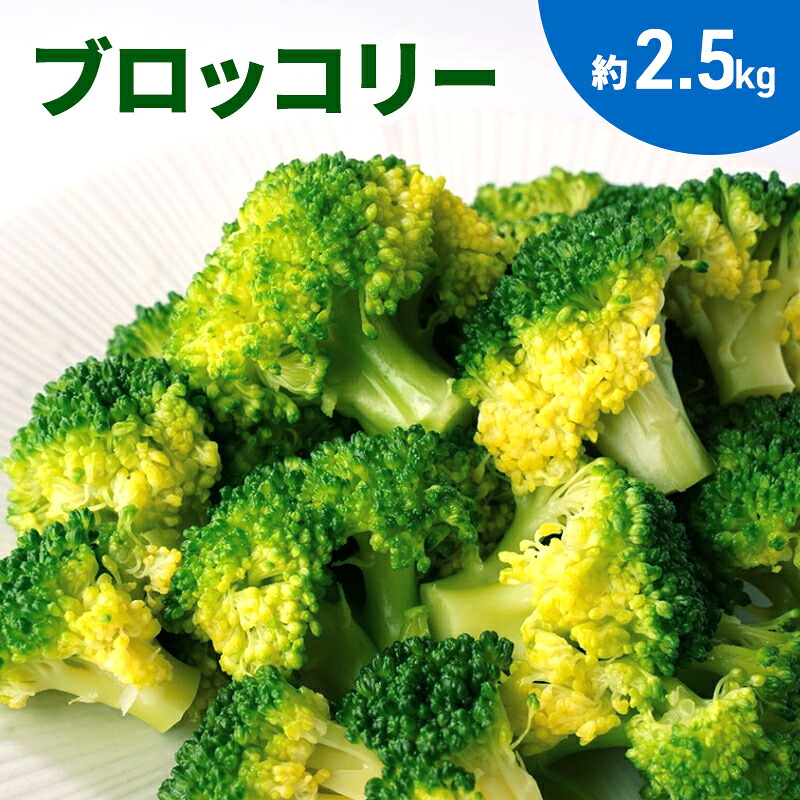 【ふるさと納税】ブロッコリー　約２.5kg　お届け：2025年11月25日～2026年6月9日まで