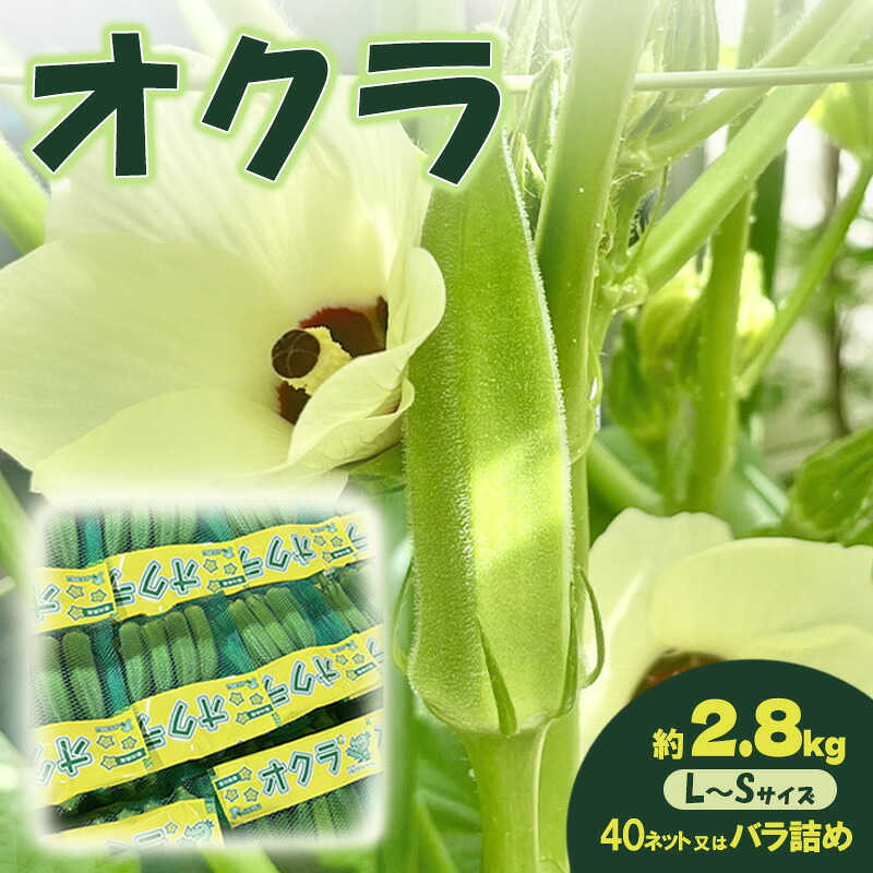 【ふるさと納税】オクラ 約2.8kg 野菜　お届け：2026年7月22日～10月10日