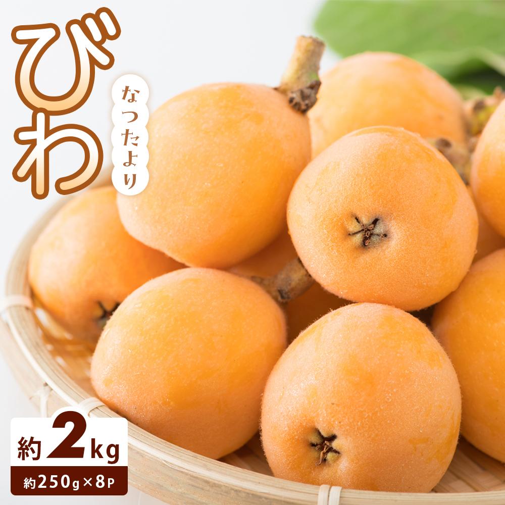 【ふるさと納税】【さぬき讃フルーツ】びわ なつたより 約1kg(約250g×4)×2箱 | びわ フルーツ 果物 くだもの 食品 人気 おすすめ 送料無料