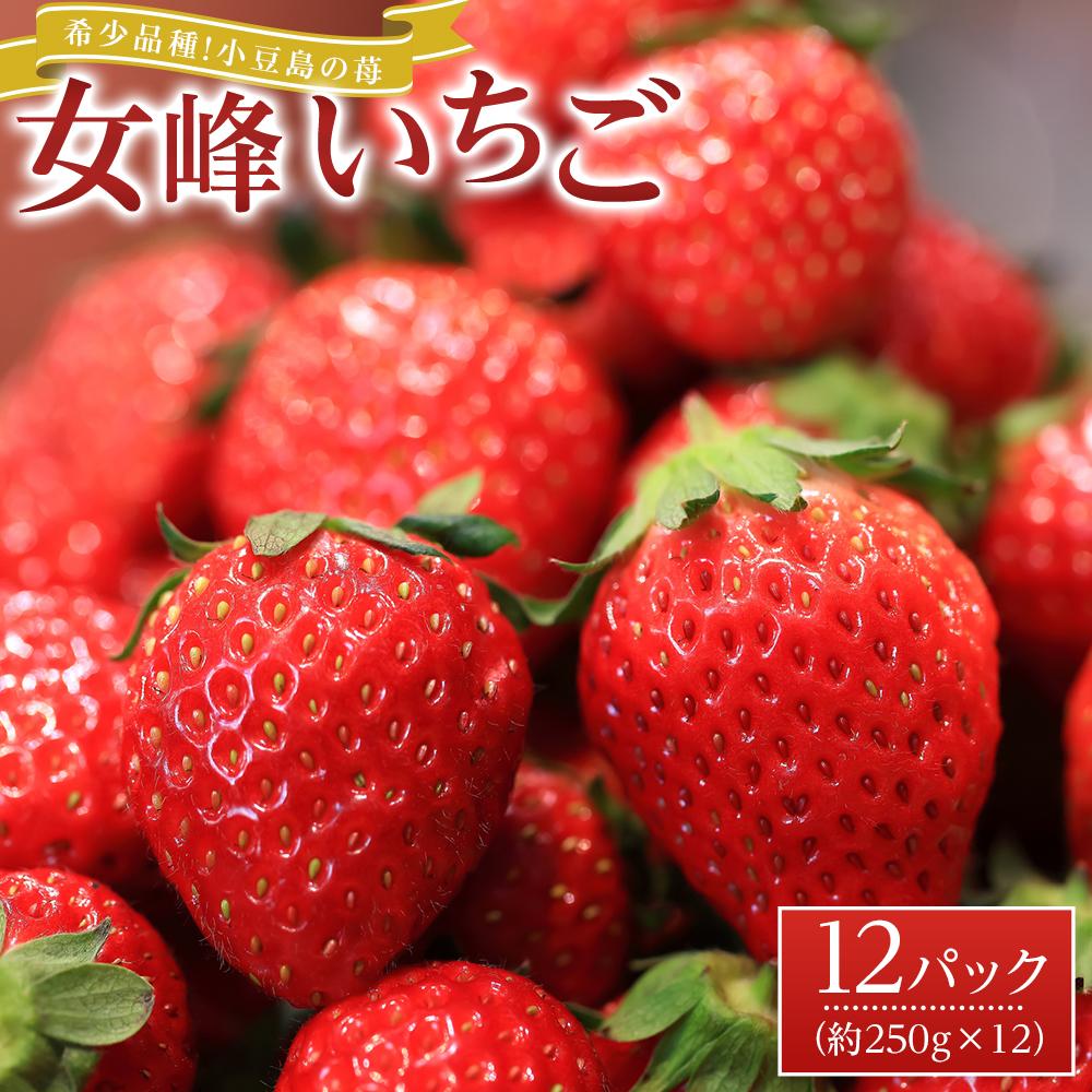 【ふるさと納税】【2026年2月中旬より発送】希少品種！小豆島の苺「女峰」12パック(1パック約250g) | フルーツ 果物 くだもの 食品 人気 おすすめ 送料無料