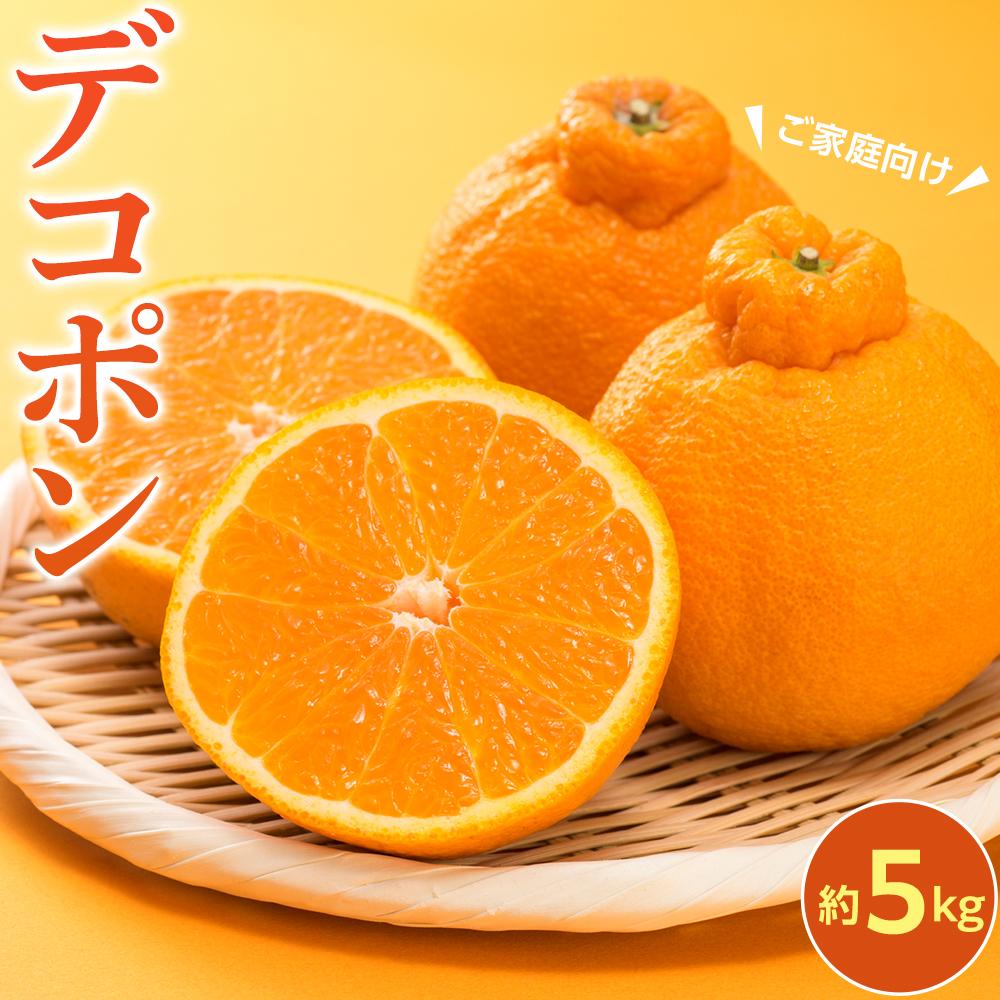 【ふるさと納税】【2026年3月上旬より発送】ご家庭向け！濃厚甘味の「デコポン」約5kg | フルーツ 果物 くだもの 食品 人気 おすすめ 送料無料