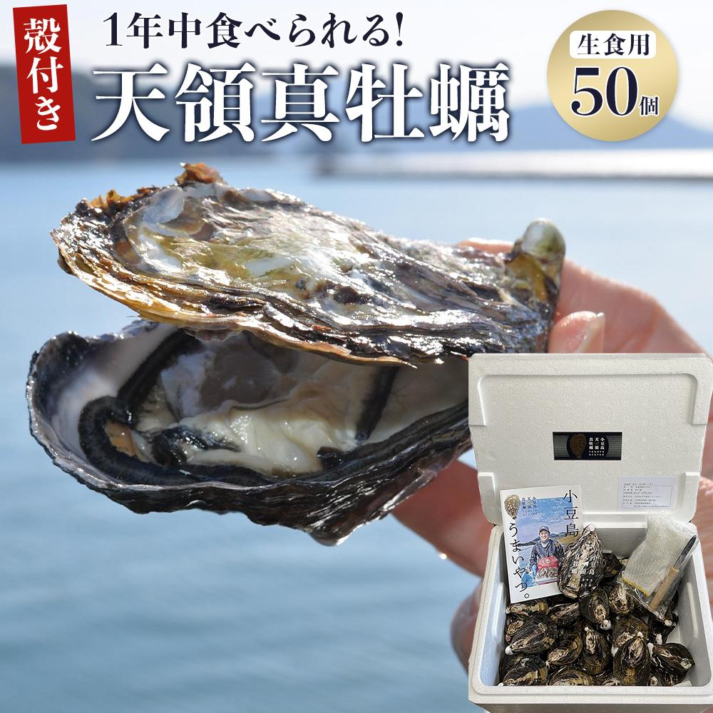 【ふるさと納税】小豆島 天領真牡蠣 (殻付き生食用) 50個セット | カキ 魚介類 水産 食品 人気 おすすめ 送料無料