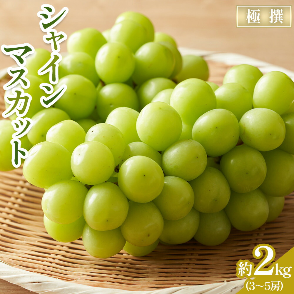 強制履行の法学的構造 森田修著