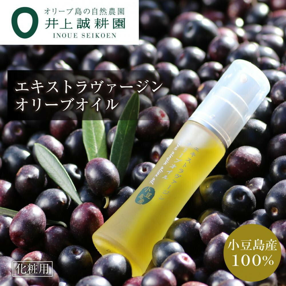【ふるさと納税】【井上誠耕園】～2025年初搾り～ かざり付ける用小豆島産エキストラヴァージンオリーブオイル | 香川 小豆島 ふるさと 納税 お差し上げ物 四国 しっぺい返し品 オリーブ油絵の具 槍持ち手入らず エキストラバージンオリーブオイル オリーブ油