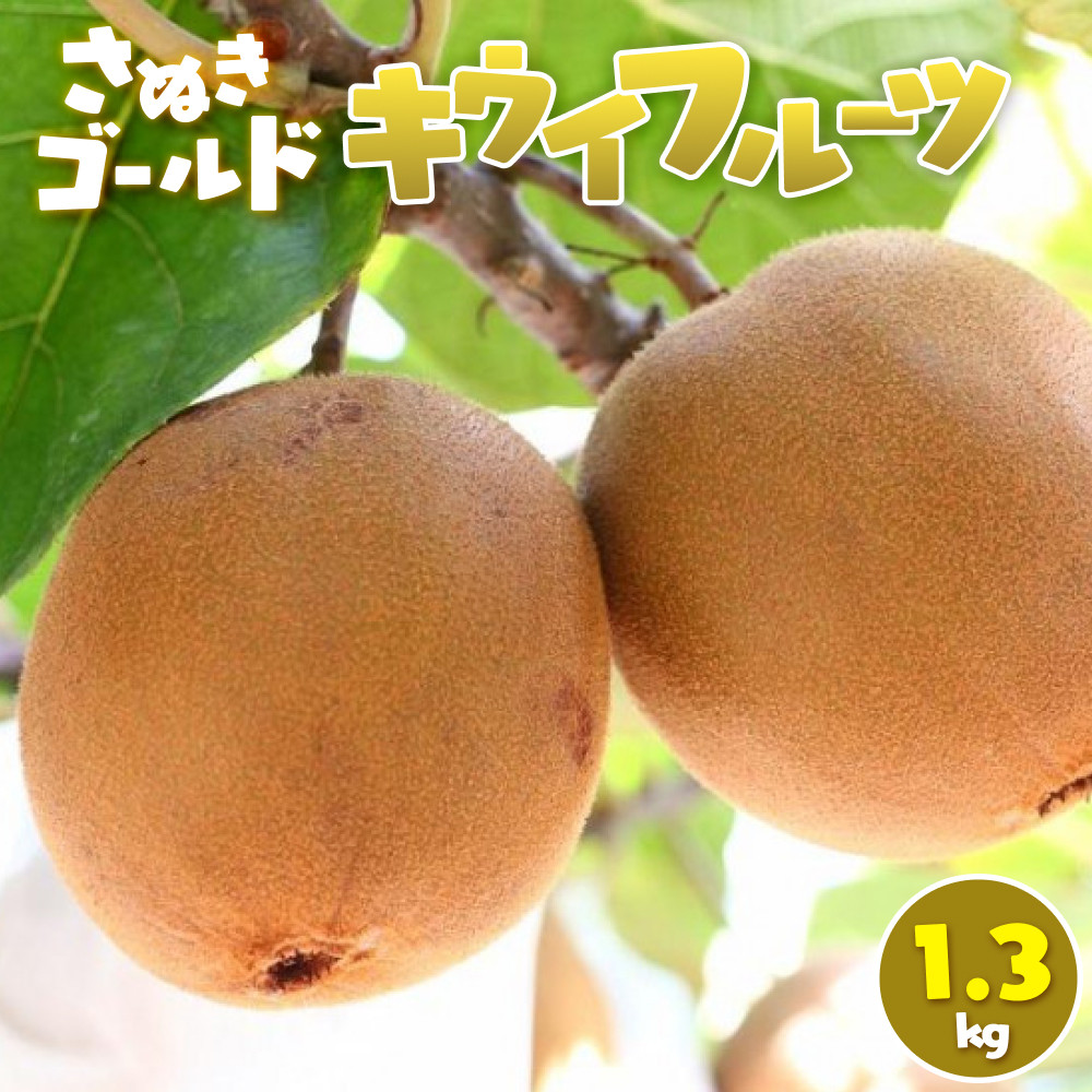 【ふるさと納税】さぬきゴールド キウイフルーツ 1.3kg | フルーツ 果物 くだもの 食品