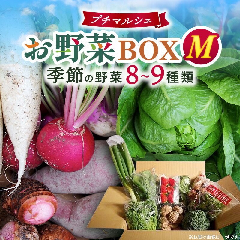 【ふるさと納税】プチマルシェお野菜ボックス(Ｍ)　季節の野菜８～９種類　≪　IDOMALL　セレクト≫ 野菜 新鮮 冷蔵 旬 香川県 野菜ボックス 季節の野菜 青果物 季節 マルシェ 冷蔵 おすすめ 8,250円