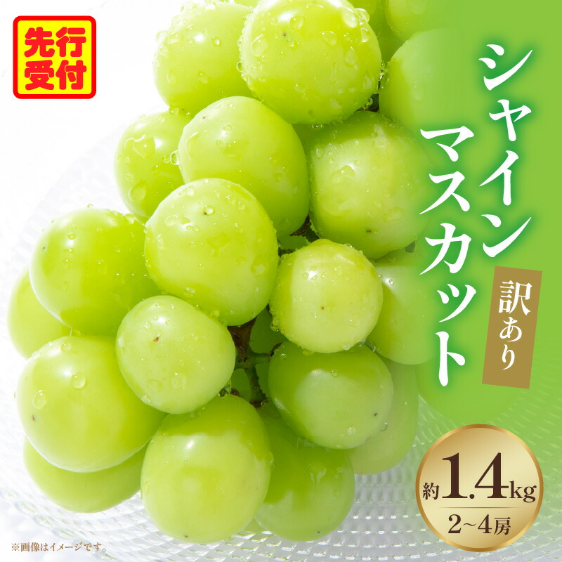 【ふるさと納税】【訳あり】シャインマスカット 約1.4kg入り 2～4房 シャイン マスカット ぶどう 果物 果実 果汁 人気 おすすめ 贈答 ご褒美 贈り物 フルーツ デザート スイーツ 種無し  種無しシャインマスカット 不揃い キズ 皮ごとシャインマスカット 三木町 送料無料