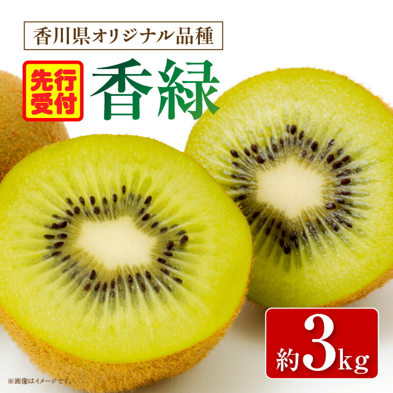 【ふるさと納税】香川県オリジナルキウイフルーツ「香緑」約3kg【香川県共通返礼品】キウイ フルーツ 果物 香川県 香緑 デザート サラダ ヨーグルト トッピング 国産 季節限定 青果物 旬 おすすめ