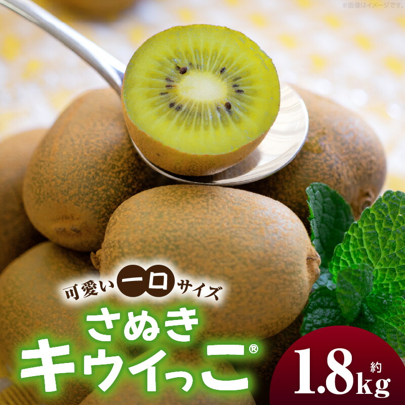 【ふるさと納税】キウイフルーツ(さぬきキウイっこ・・) 1.8kg キウイ フルーツ 果物 旬 旬の果物 キウイフルーツ デザート 生鮮食品 贈り物 贈答 お裾分け おすすめ 人気 ギフト グルメ 特産品 果肉 季節 季節の果物 香川県 三木町 送料無料