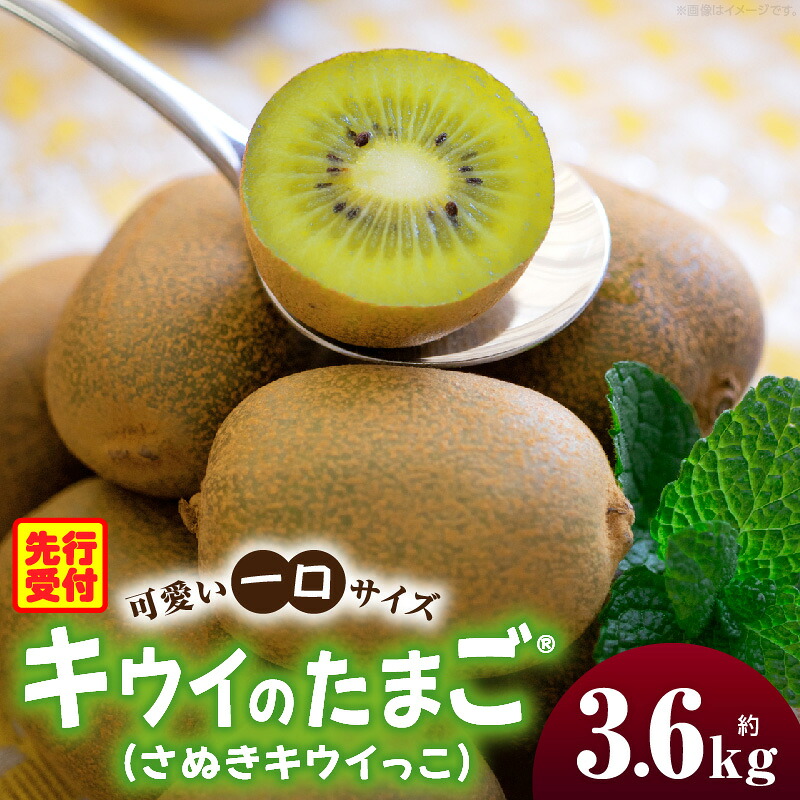 【ふるさと納税】キウイフルーツ(キウイのたまご&reg;)(キウイっこ) 1.8kg&times;2箱 キウイ フルーツ 果物 旬 旬の果物 キウイフルーツ デザート 生鮮食品 贈り物 贈答 お裾分け おすすめ 人気 ギフト グルメ 特産品 果肉 季節 季節の果物 香川県 三木町 送料無料｜香川県三木町