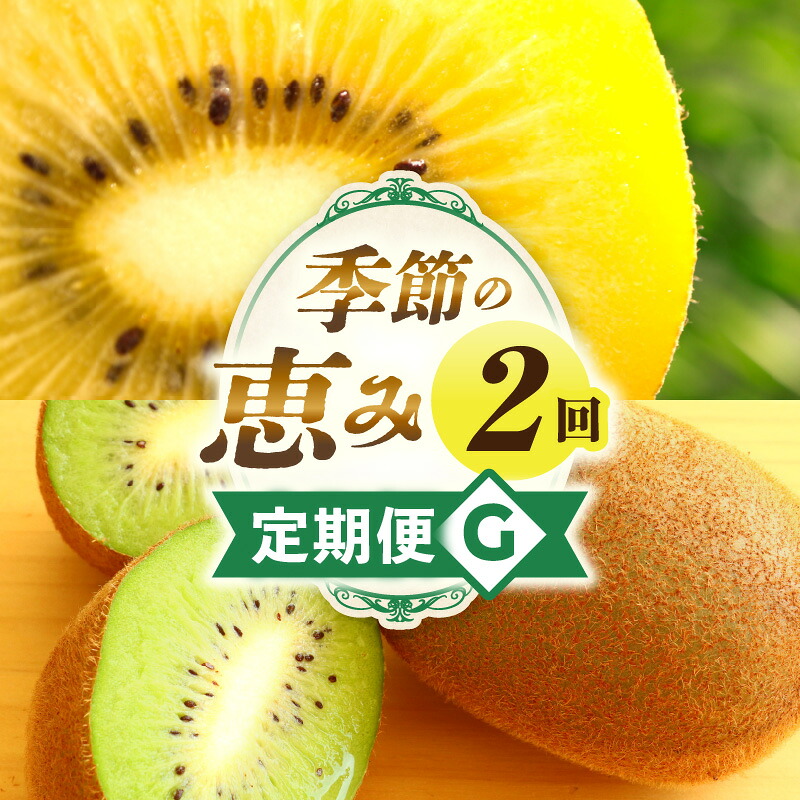【ふるさと納税】季節の恵み2回定期便G 果物 フルーツ 定期便 フルーツ定期便 果物定期便 旬 旬の果物 旬のフルーツ 旬の定期便 果実 果汁 デザート スイーツ キウイ キウイフルーツ ゴールドキウイ 厳選 贈り物 贈答 ギフト ご褒美 香川県 三木町
