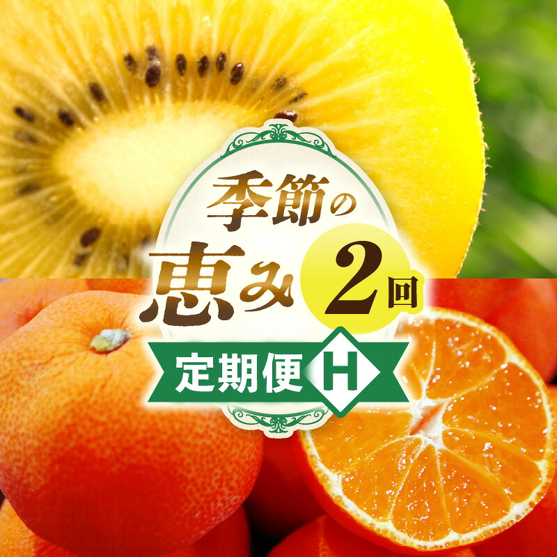 【ふるさと納税】季節の恵み2回定期便H 果物 フルーツ 定期便 果物定期便 フルーツ定期便 果実 旬 旬の果物 旬のフルーツ 旬の果物定期便 旬の定期便 デザート スイーツ 果汁 贈答 贈り物 キウイ ゴールドキウイ キウイフルーツ みかん 香川県 三木町