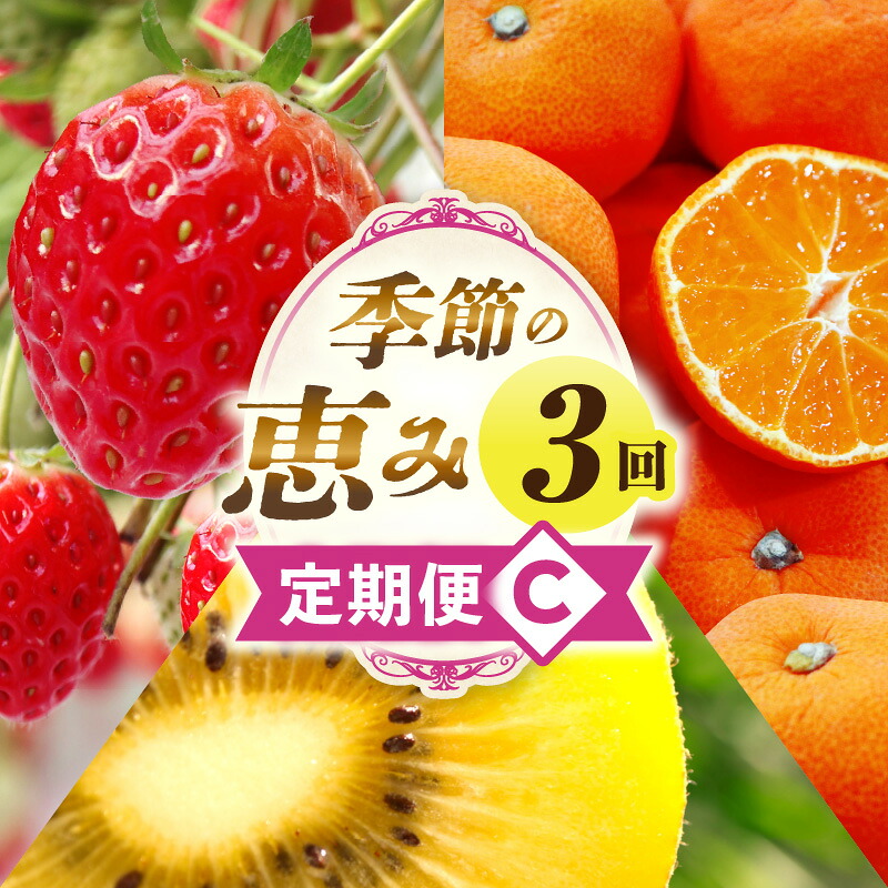 【ふるさと納税】季節の恵み3回定期便C 果物 フルーツ 青果 青果物 デザート スイーツ 果実 旬 季節 旬の果物 季節の果物 生鮮食品 生鮮 贈答 贈り物 ギフト プレゼント おすそ分け ご褒美 人気 グルメ お取り寄せ 特産品 特産 国産 香川県 三木町｜香川県三木町