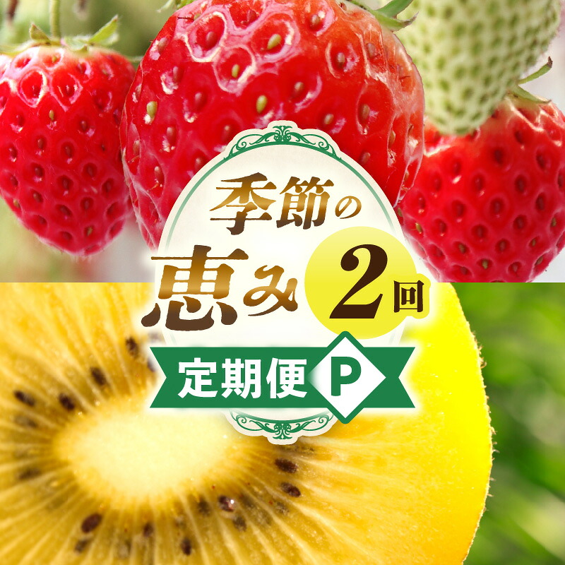 【ふるさと納税】季節の恵み2回定期便P 果物 フルーツ 青果 青果物 デザート スイーツ 果実 旬 季節 旬の果物 季節の果物 生鮮食品 生鮮 贈答 定期便 果物定期便 フルーツ定期便 贈り物 ギフト プレゼント おすそ分け ご褒美 人気 グルメ お取り寄せ 国産 香川県 三木町｜香川県三木町