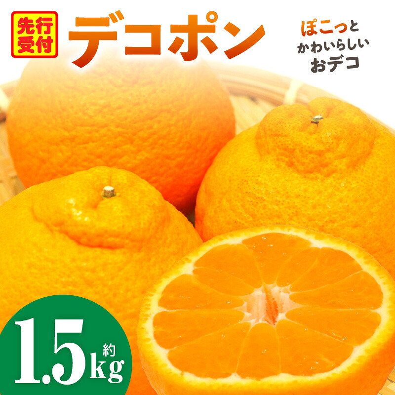 【ふるさと納税】デコポン「中晩かん」瀬戸内の果汁溢れるみかん 不知火（デコポン）約1.5kg デコポン みかん フルーツ 果物 旬 柑橘 デザート お裾分け 旬 旬の果物 おすすめ 人気 デザート 果実 お取り寄せ 贈答用 贈り物 柑橘類 季節 季節の果物 柑橘系 香川県 三木町｜香川県三木町