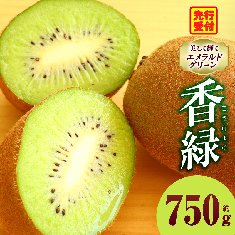 【ふるさと納税】キウイ 美しい緑が鮮やかな 香緑 約750g キウイ フルーツ 果物 旬 旬の果物 キウイフルーツ デザート 生鮮食品 贈り物 贈答 お裾分け おすすめ 人気 ギフト グルメ 特産品 果肉 季節 季節の果物 香川県 三木町 送料無料|香川県三木町