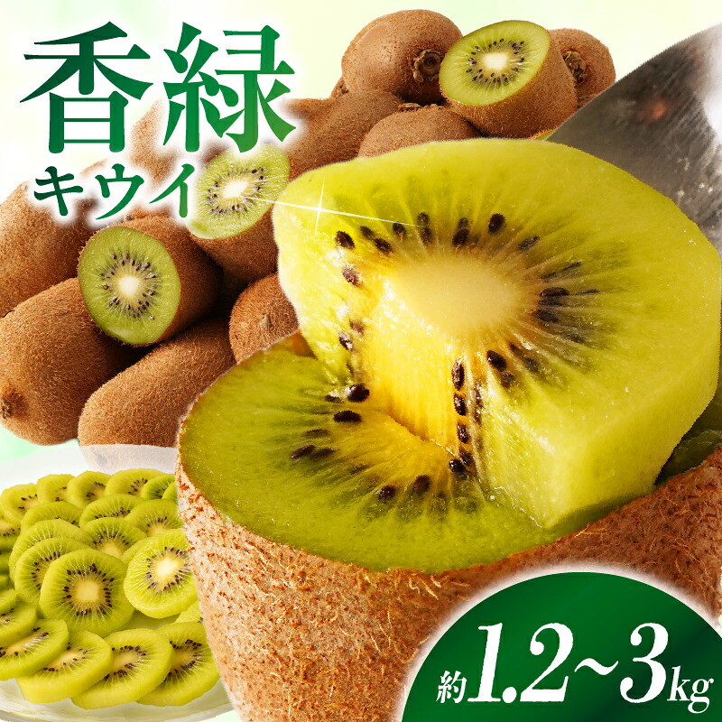 【ふるさと納税】【選べる内容量】香川県オリジナルキウイフルーツ「香緑」約1.2～3kg【香川県共通返礼品】キウイ フルーツ 果物 香川県 香緑 デザート サラダ ヨーグルト トッピング 国産 季節限定 青果物 旬 おすすめ 人気 果実 果肉 果汁 ご褒美 贈り物 糖度が高い