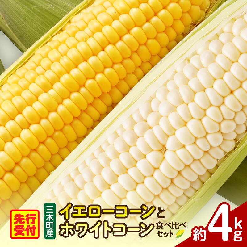【ふるさと納税】三木町産 イエローコーンとホワイトコーンの食べ比べセット とうもろこし ホワイトコーン イエローコーン 食べ比べ セット 食べ比べセット 詰め合わせ 野菜 旬 旬の野菜 季節の野菜 グルメ お取り寄せ 人気 おすすめ 香川県 三木町