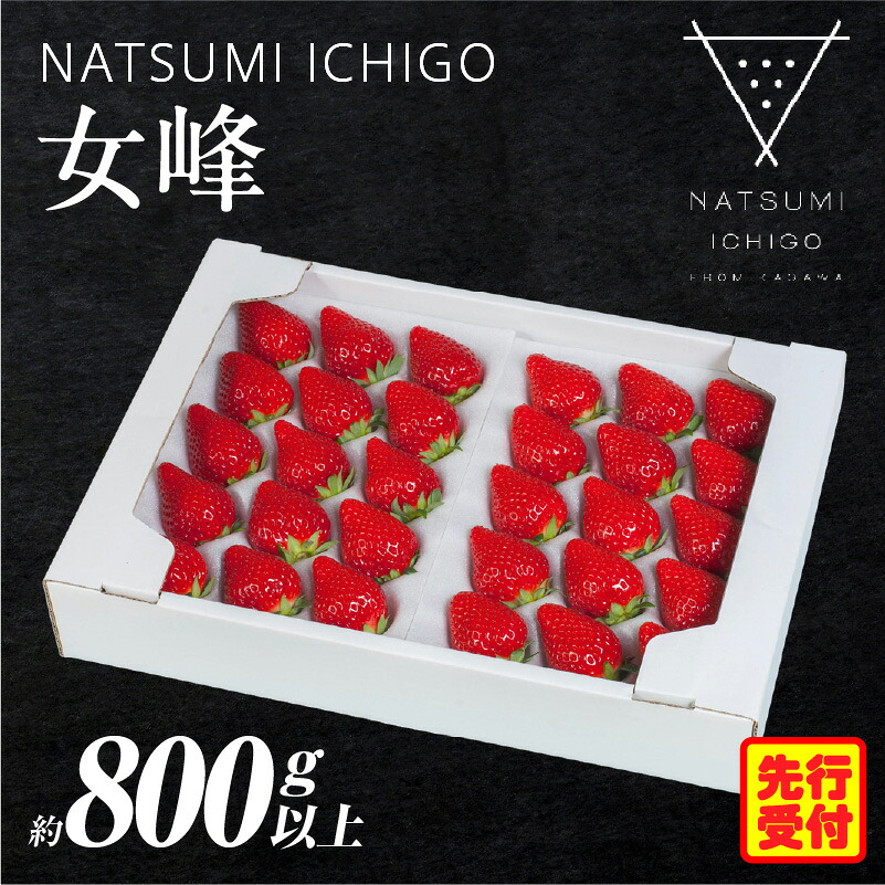 【ふるさと納税】NATSUMI ICHIGO 女峰約800g以上 プレミアムBOX【2026年1~6月配送】スイーツ いちご ストロベリー 女峰 苺 冷蔵 フルーツ 旬 果物 香川県 デザート 青果物 贈答 プレゼント 贈り物 先行受付 先行予約 季節限定 旬 おすすめ 三木町 送料無料