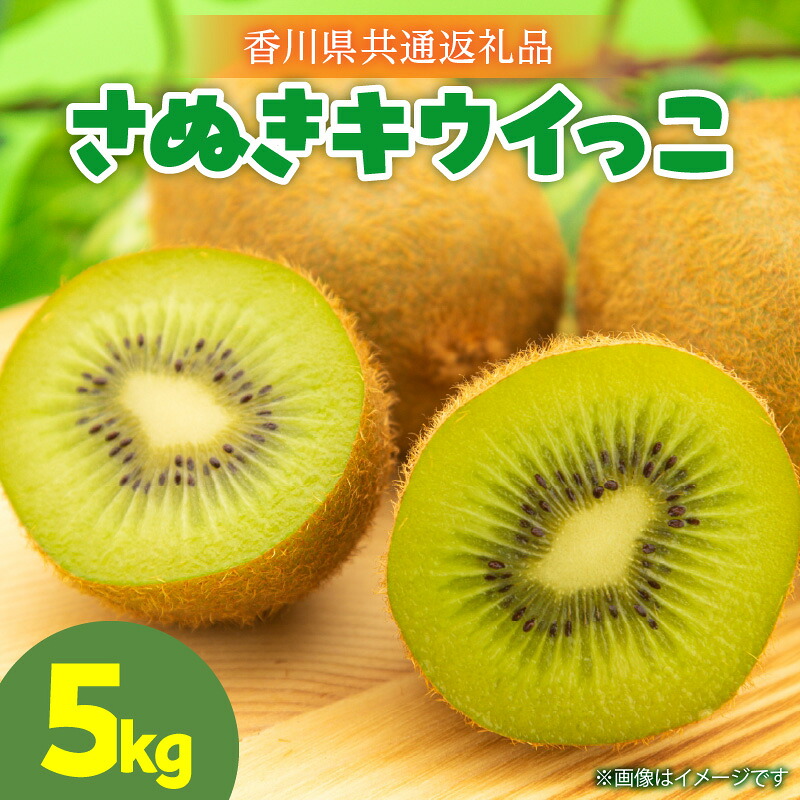 【ふるさと納税】【先行予約】さぬきキウイっこ5.0kg キウイ 果物 フルーツ デザート 旬 旬の果物 季節 季節の果物 人気 おすすめ 贈り物 贈答 プレゼント ご褒美 キウイフルーツ さぬきキウイ 香川 香川県 三木町 送料無料 【香川県共通返礼品】
