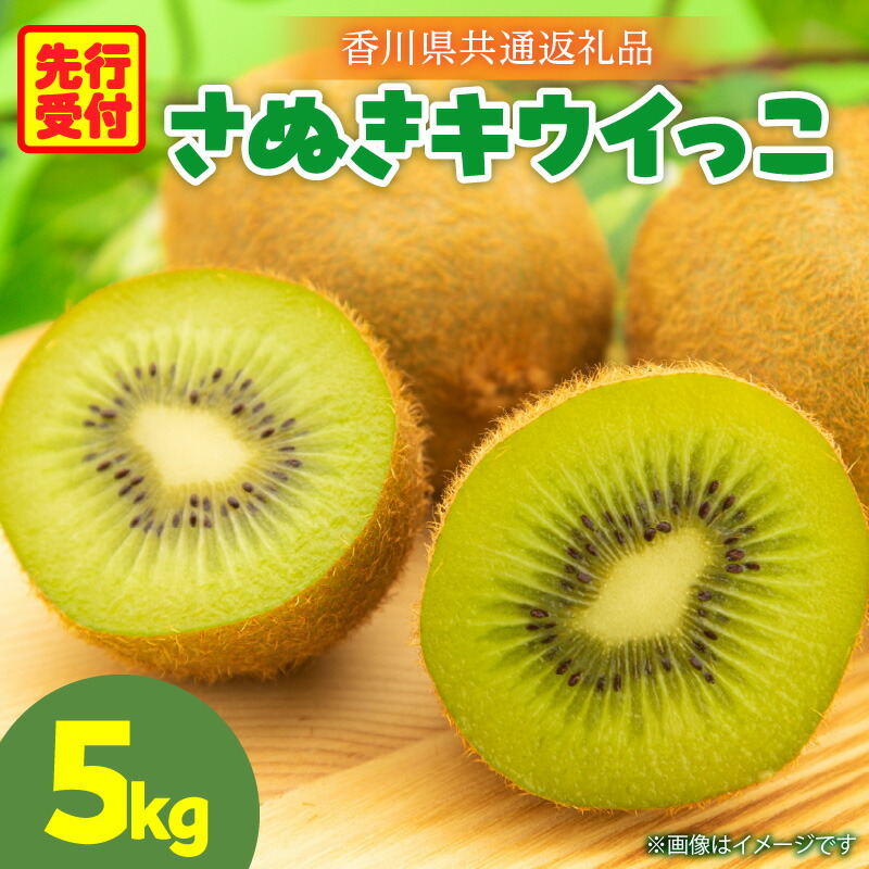 【ふるさと納税】さぬきキウイっこ5.0kg【香川県共通返礼品】 キウイ 果物 フルーツ デザート 旬 旬の果物 季節 季節の果物 人気 おすすめ 贈り物 贈答 プレゼント ご褒美 キウイフルーツ さぬきキウイ 香川 香川県 三木町 送料無料