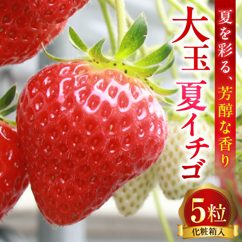 【ふるさと納税】大玉 夏イチゴ 「香る苺／Scentberry／セントベリー・・」 化粧箱入り