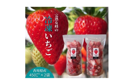 【ふるさと納税】【苺ファーム森本】完熟女峰の冷凍いちご　450g×2袋　≪　IDOMALL　セレクト≫ スイーツ いちご ストロベリー 女峰 苺 ジャム いちごジャム 冷凍 フルーツ 旬 果物 香川県 デザート 青果物 贈答 プレゼント 贈り物 おすすめ
