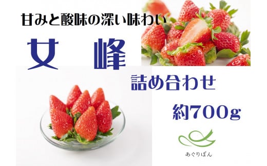 【ふるさと納税】あぐりぼん　いちご「女峰」　詰め合わせ（約700g）いちご 果物 フルーツ デザート ストロベリー 果肉 スイーツ 甘い 国産 贈り物 贈答 プレゼント グルメ 人気 おすすめ 季節 旬 旬の果物 詰め合わせ 香川県 三木町 送料無料