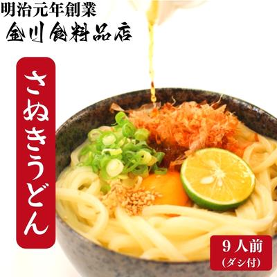 【ふるさと納税】二段熟成半生さぬきうどん9人前 だし付き（鎌田・碵油） 麺類 和食 小麦製品 コシ しなやか のど越し 本場 ぶっかけ ざる かけうどん 夕飯 ランチ あっさり