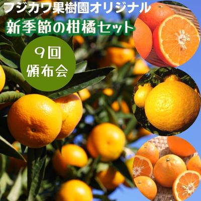 【ふるさと納税】【9回頒布会】フジカワ果樹園オリジナル・新季節の柑橘セット 果物類 フルーツ 詰合せ お歳暮 御歳暮 お年賀 みかん 果物