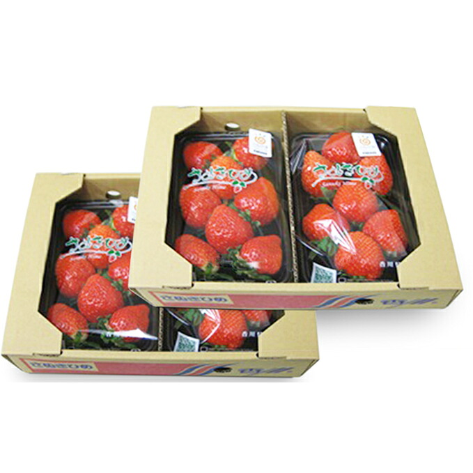【ふるさと納税】 さぬきひめ苺 約1kg 果物類 いちご イチゴ 　お届け：2026年11月10日～2026年12月31日