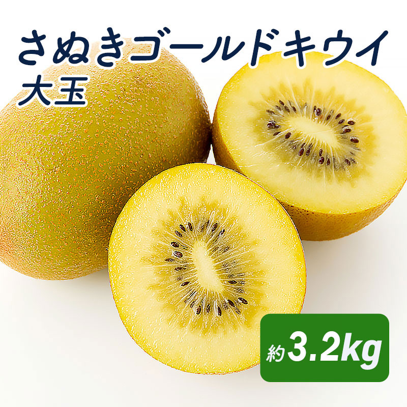 【ふるさと納税】さぬきゴールドキウイ 大玉約3.2kg_キウイフルーツ 果物詰合せ くだもの お届け:2026年10月22日~2026年12月31日|香川県綾川町