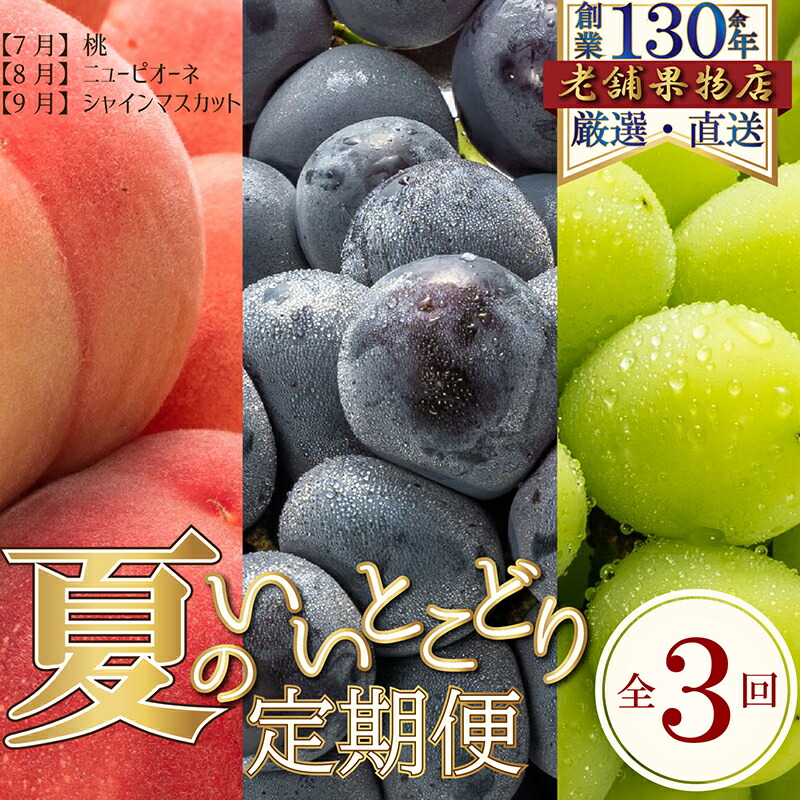 【ふるさと納税】【全3回】夏のいいとこどり定期便（7・8・9月発送）