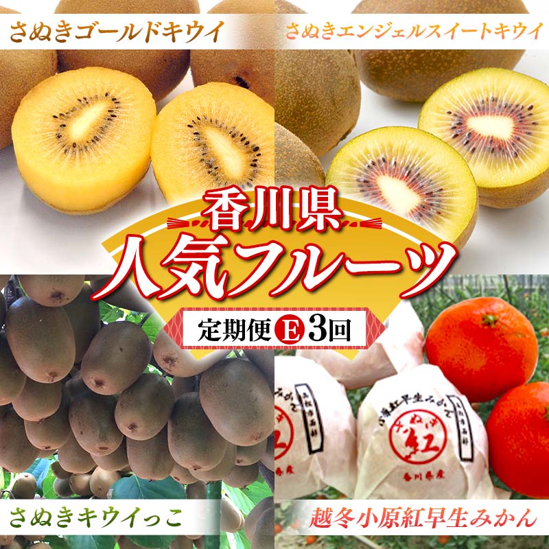 【ふるさと納税】【人気フルーツ定期便E 4回】《さぬきゴールドキウイからスタート》さぬきゴールド さぬきエンジェルスイートキウイ さぬきキウイっこ 越冬小原紅早生みかん 各約1kg キウイ みかん 旬 フルーツ 果物 国産 香川県 F5J-1184