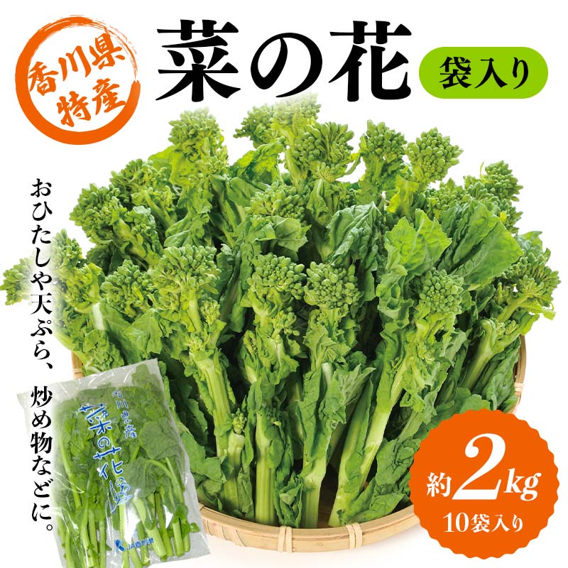【ふるさと納税】【先行予約2026年12月～2027年3月頃お届け】 菜の花 約2kg (10袋入り) なの花 菜の花 おひたし 天ぷら 炒め物 春 野菜 食品 名産 四国 F5J-925