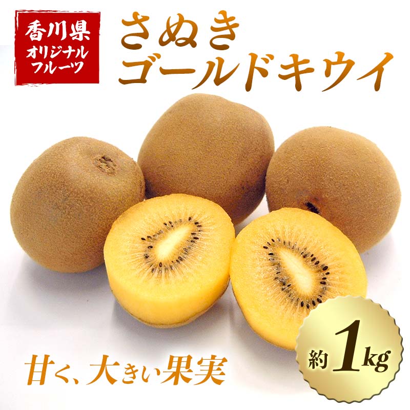 【ふるさと納税】【先行予約2026年10月～2026年12月頃お届け】 さぬきゴールドキウイ (約1kg) フルーツ 果物 くだもの ゴールド キウイ キウイフルーツ さぬき ゴールドキウイ デザート 食品 名産 四国 1万円 F5J-813