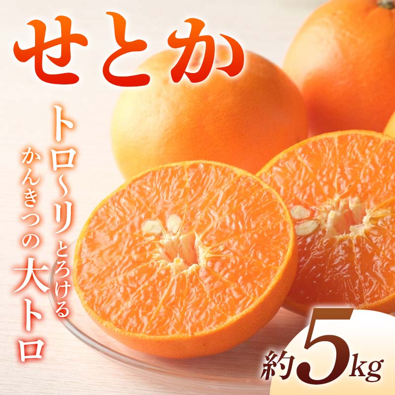【ふるさと納税】【先行予約】《2027年2月上旬～3月中旬頃お届け》 みかん せとか 約5kg トロ～リとろけるかんきつの大トロ 柑橘 完熟 みかん ミカン 果物 フルーツ くだもの 国産 せとか フルーツ 旬 果物 香川県三豊市共通返礼品 F5J-538｜香川県琴平町