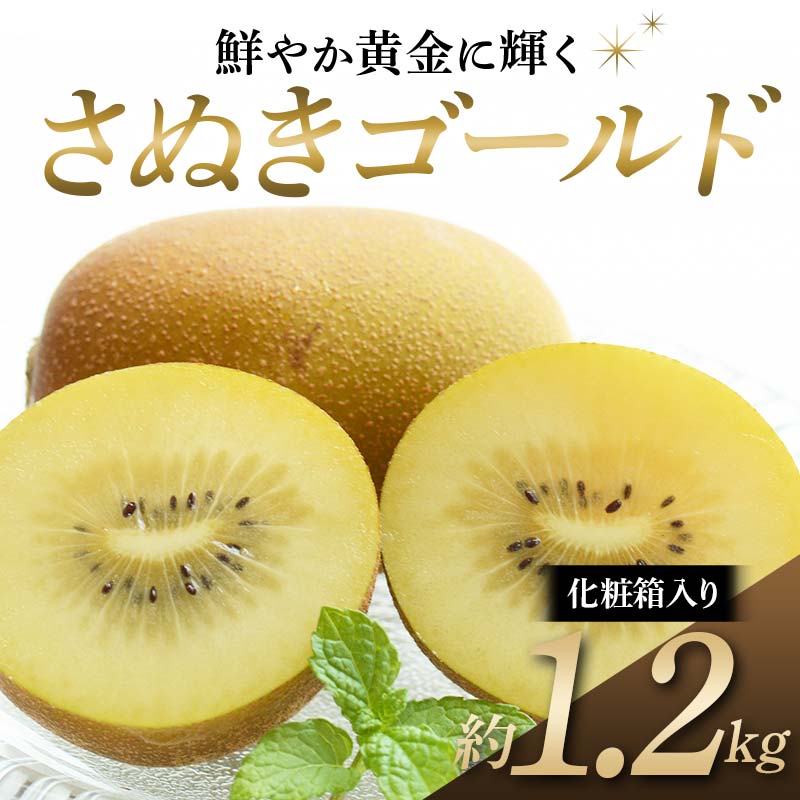 【ふるさと納税】【旬な時期にお届けします！10月中旬～11月中旬 】 キウイ さぬきゴールド 鮮やか黄金に輝く ゴールドキウイ 化粧箱約1.2kg 香川県産 大粒キウイ ゴールデンキウイ フルーツ 果物 くだもの 旬のフルーツ 旬の果物 香川 香川県共通返礼品 F5J-542