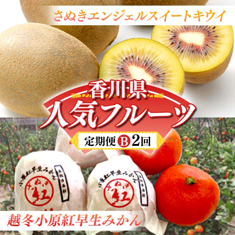【ふるさと納税】【人気フルーツ定期便B 2回】 《さぬきエンジェルスイートからスタート》 さぬきエンジェルＳキウイ 約1kg 越冬小原紅早生 約1kg キウイ キウイフルーツ みかん 柑橘 旬 果物 国産 香川県 フルーツ定期便 F5J-928｜香川県琴平町