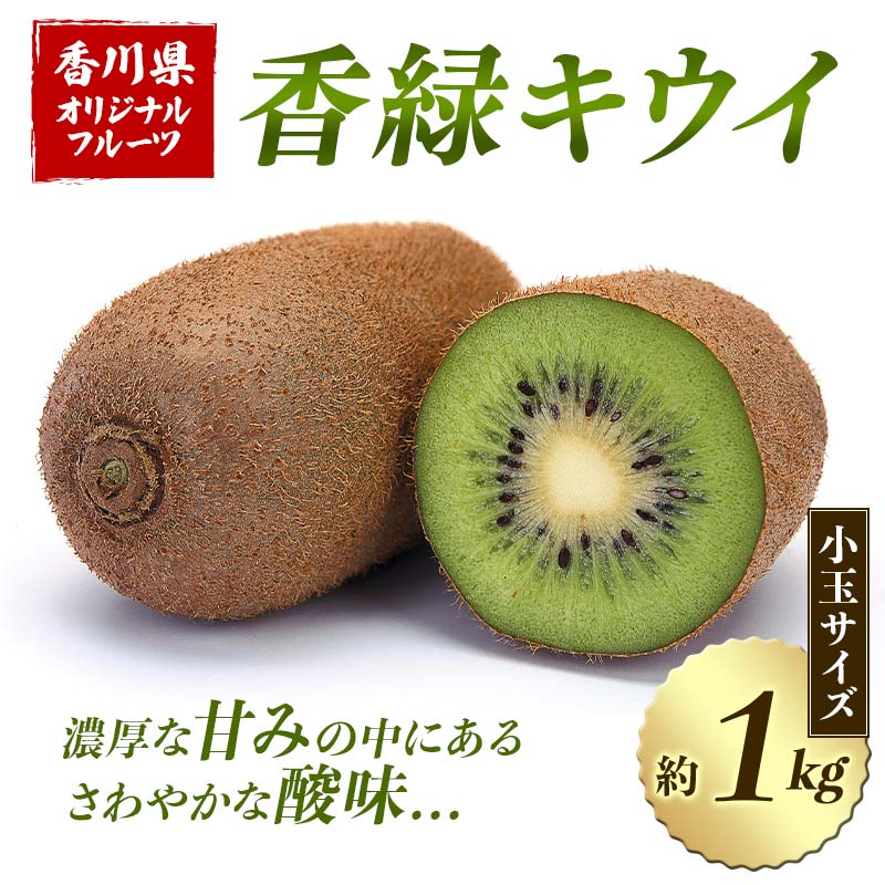 【ふるさと納税】【先行予約2026年12月～2027年3月頃お届け】香緑キウイ (小玉サイズ) 約1kg フルーツ 果物 くだもの キウイ 香緑 小玉 デザート キウイフルーツ 食品 名産 四国 1万円 F5J-917