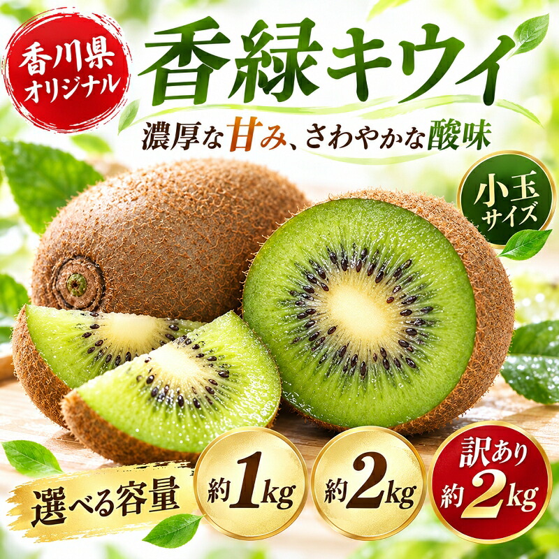 【ふるさと納税】 香緑 キウイ (小玉サイズ) 約1kg 約2kg 訳あり約2kg 先行予約 【2026年12月～2027年3月頃お届け】 フルーツ 果物 くだもの キウイ 香緑 小玉 デザート キウイフルーツ 食品 名産 四国 F5J-670var｜香川県琴平町 7,300円